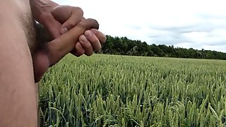 Naked outside in a public field playing with cock & cumming