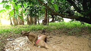 Jane Rose, Mud Rumble